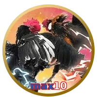 max10